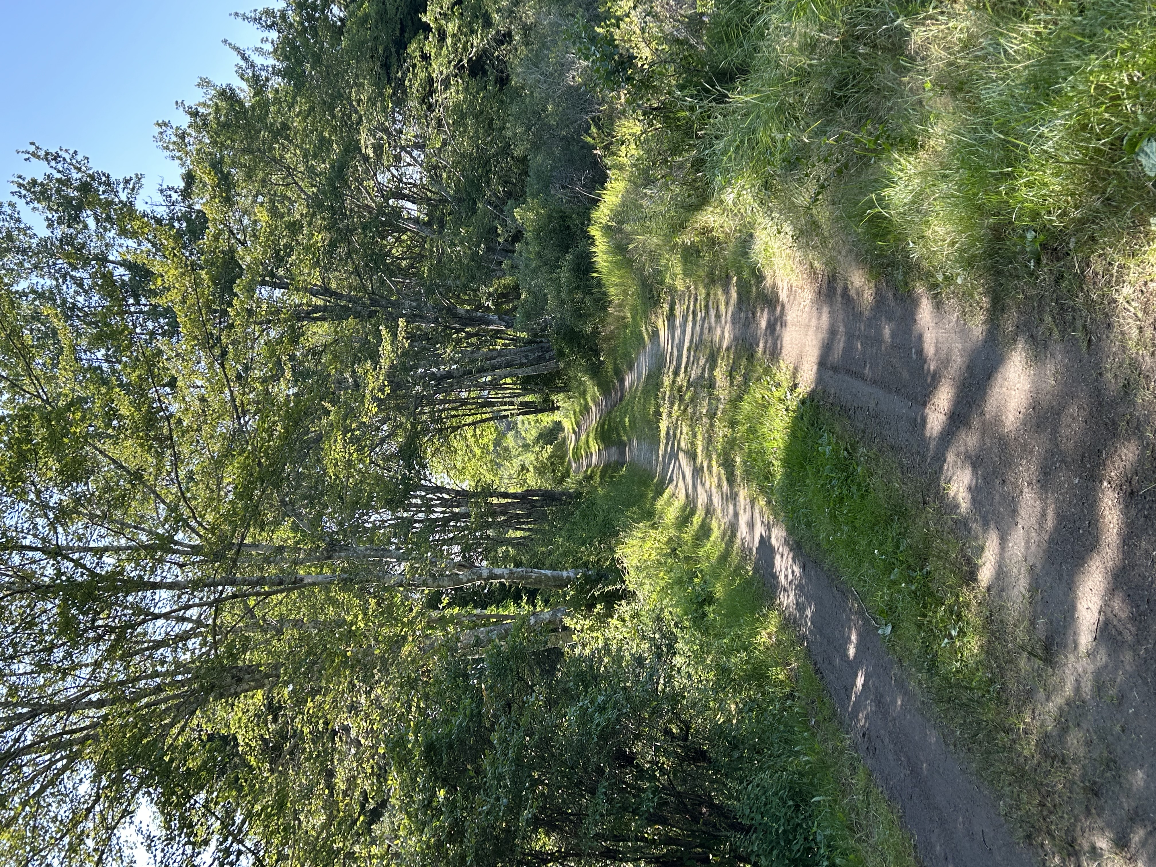 path